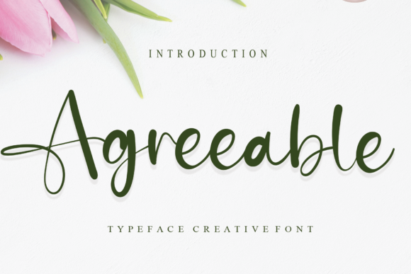 Agreeable Font: Elegant Script for Web Design