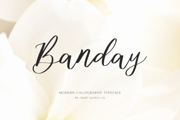 Banday: A Script Amp Review