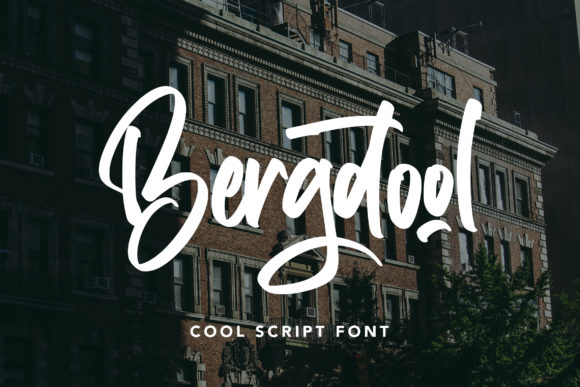Bergdool: A Script Font for Real Design Work