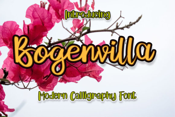 Bogenvilla: A Script Font for Real Projects