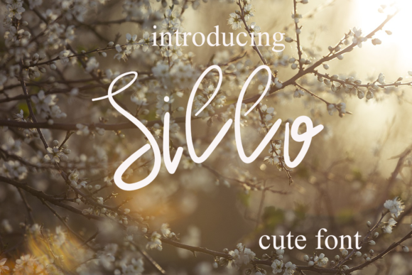 Sillo: A Sweet Font for Business Branding