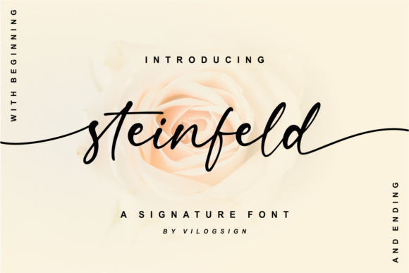 Steinfeld: A Script Amp Review