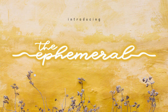 The Ephemeral Font: Elegant Script for Business